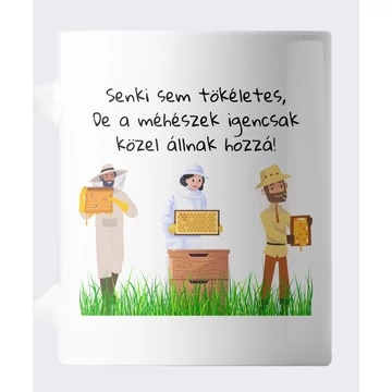 Senki sem tökéletes bögre